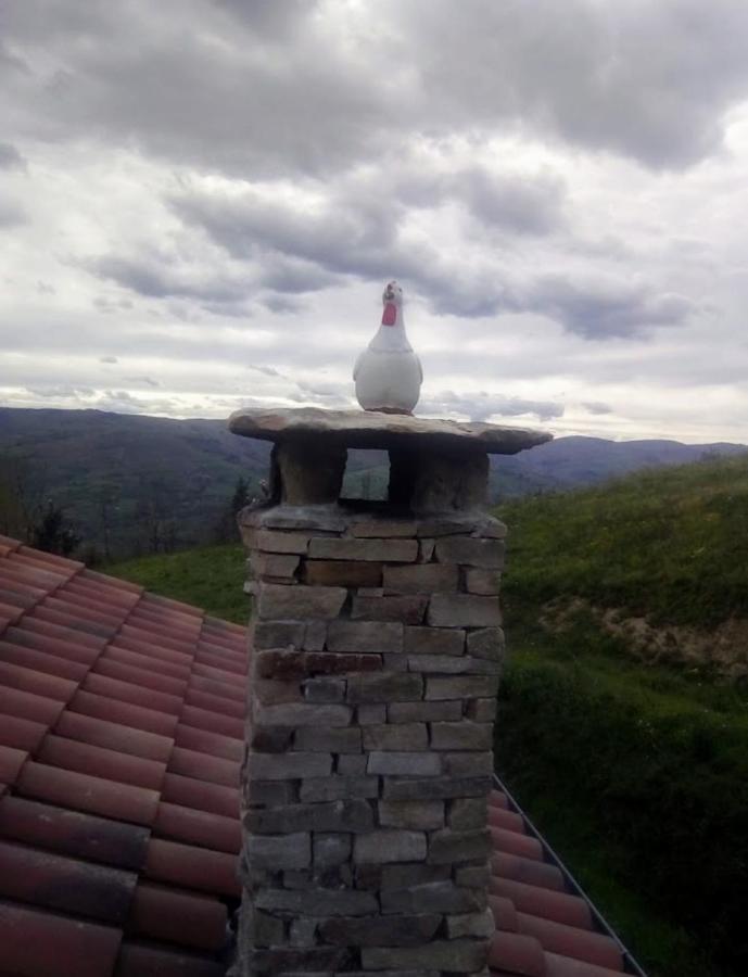 Cabaña Pasiega Única Selaya Exterior foto