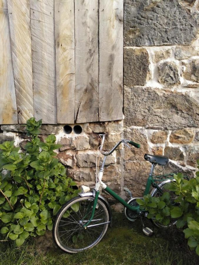 Cabaña Pasiega Única Selaya Exterior foto