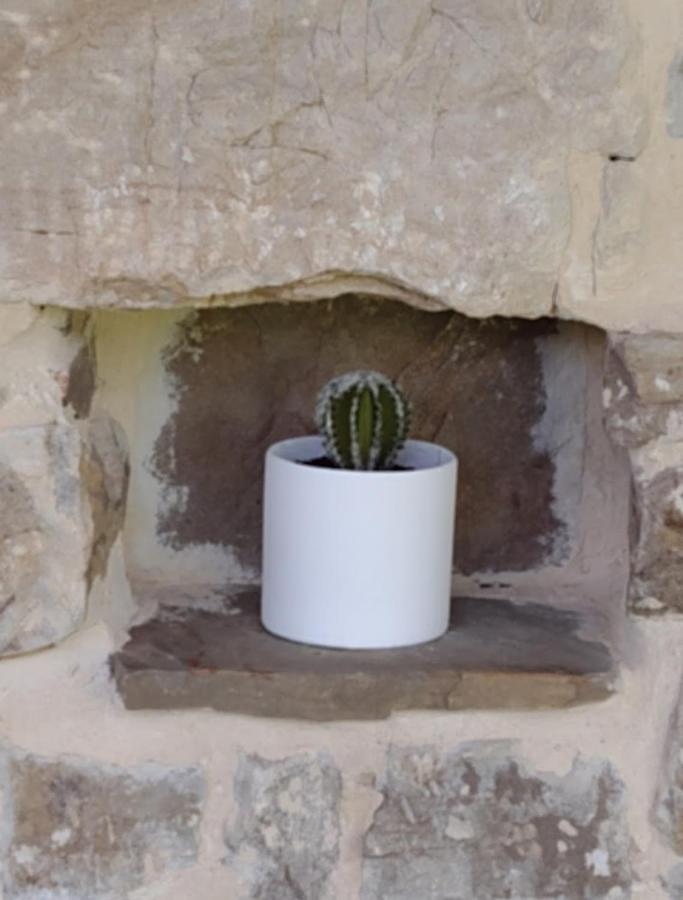 Cabaña Pasiega Única Selaya Exterior foto