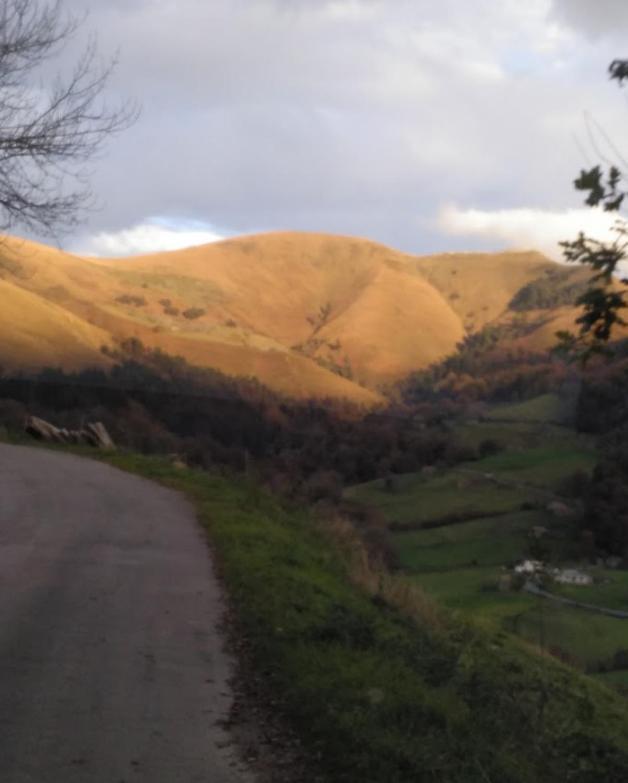 Cabaña Pasiega Única Selaya Exterior foto