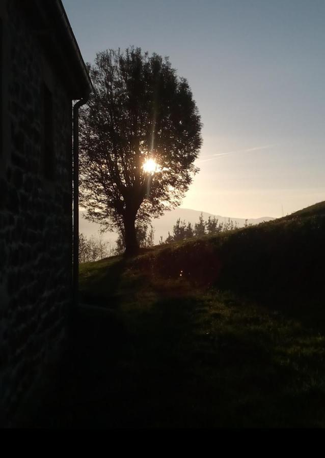 Cabaña Pasiega Única Selaya Exterior foto